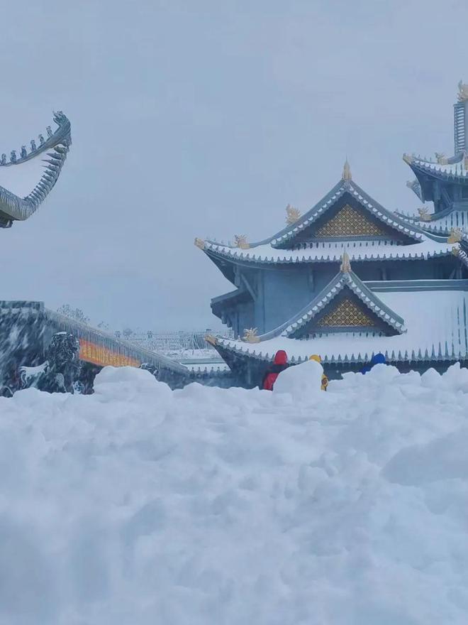 男同漫画青蛙 许多正规平台都有相应的分类