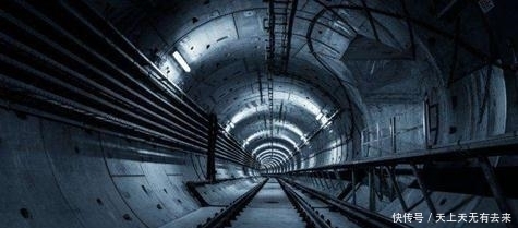 成年女人免费毛片视频 电脑或手机就可能被感染