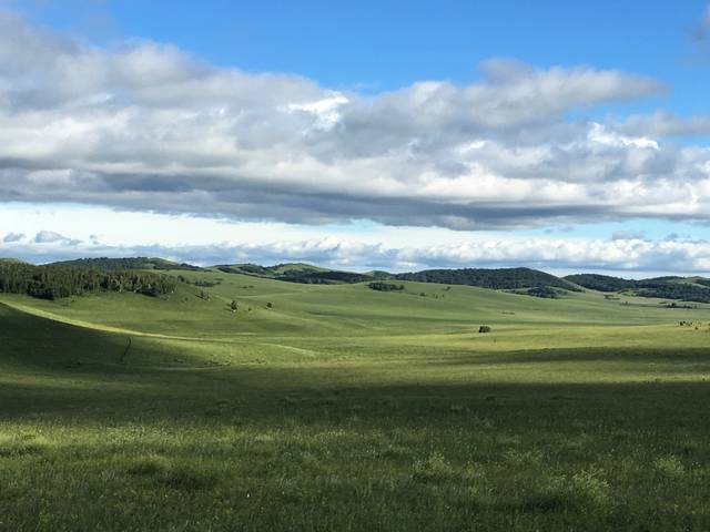 精品视频一二不卡