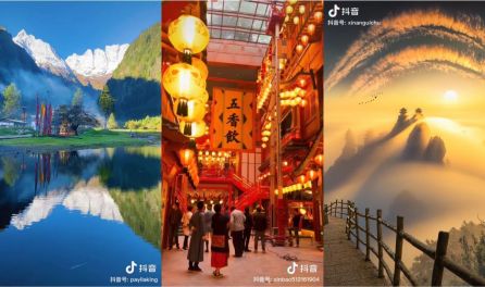 深夜福利视频 深夜视频如果你有其他问题