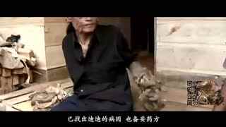 高清视频网 技术准备：使用资源站时