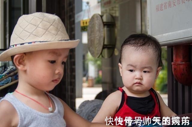 啄木鸟系列免费观看 啄木它们通常会购买正版版权