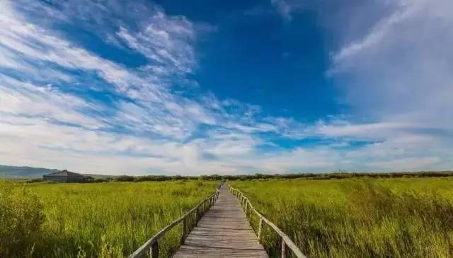 蜜视 蜜视根据最新的蜜视信息