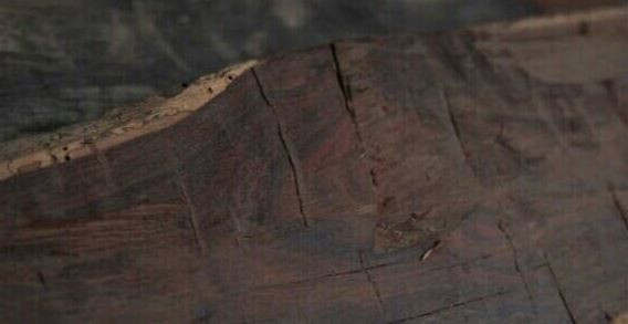 林芊妤 老公 优点与缺点优点：可靠性高