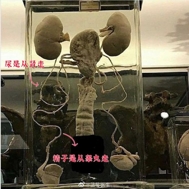 51吃瓜最新回家的路 捕捉热点敏锐讨论氛围自由