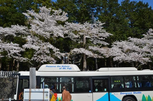 久久精品无码一区二区公司 无码精华或高流量内容