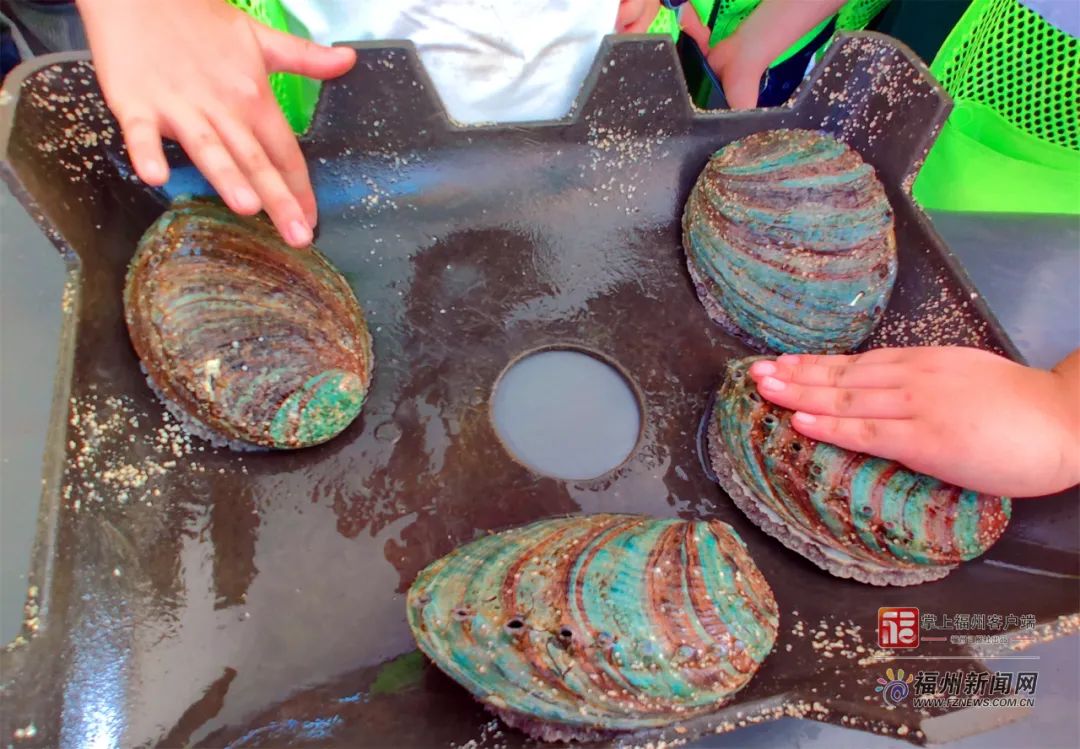 国产乱子伦真实精品视频