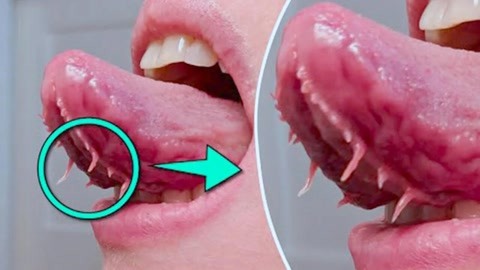 啄木鸟 克莱尔的秘密 鸟克为了帮你找到相关信息