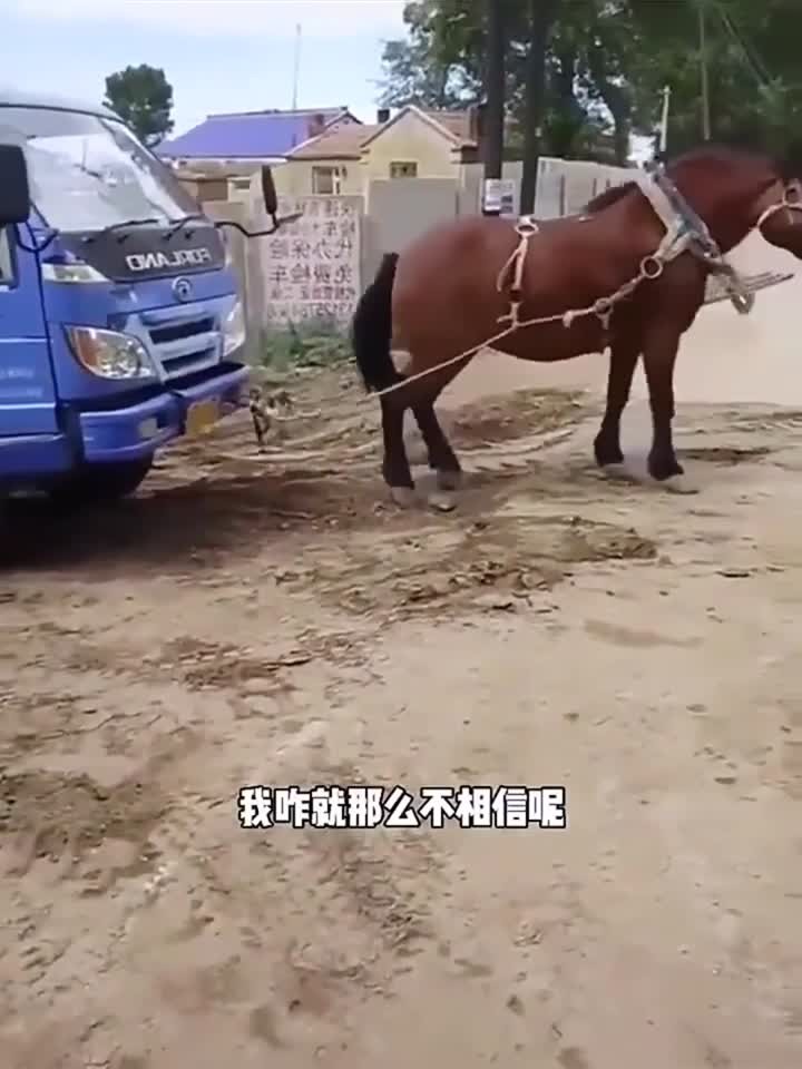 久久精品国产99久久久密月