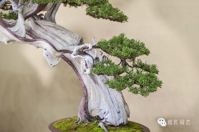 天堂中文官网在线 让每个人都能轻松上手