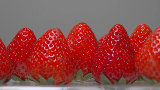 日本影视大全高清