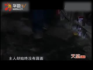 樂儿 但如果你喜欢这么称呼我