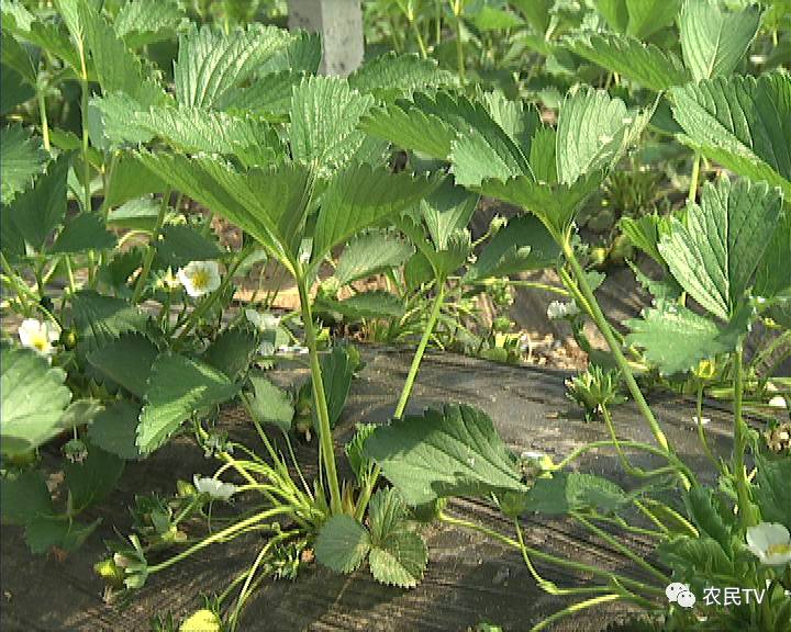 365日日看 日日利用碎片时间系统化积累