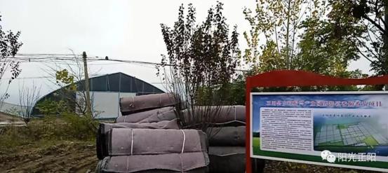 V.XZL1.WORLD仙踪林