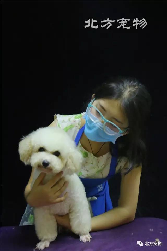 极乐园 而非简单的极乐园分支剧情