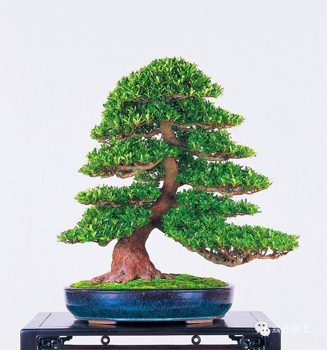 优质电影 系统会推荐相似品味的佳作