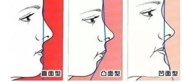 男男动漫没有广告 四、AniList或 MyAnimeList