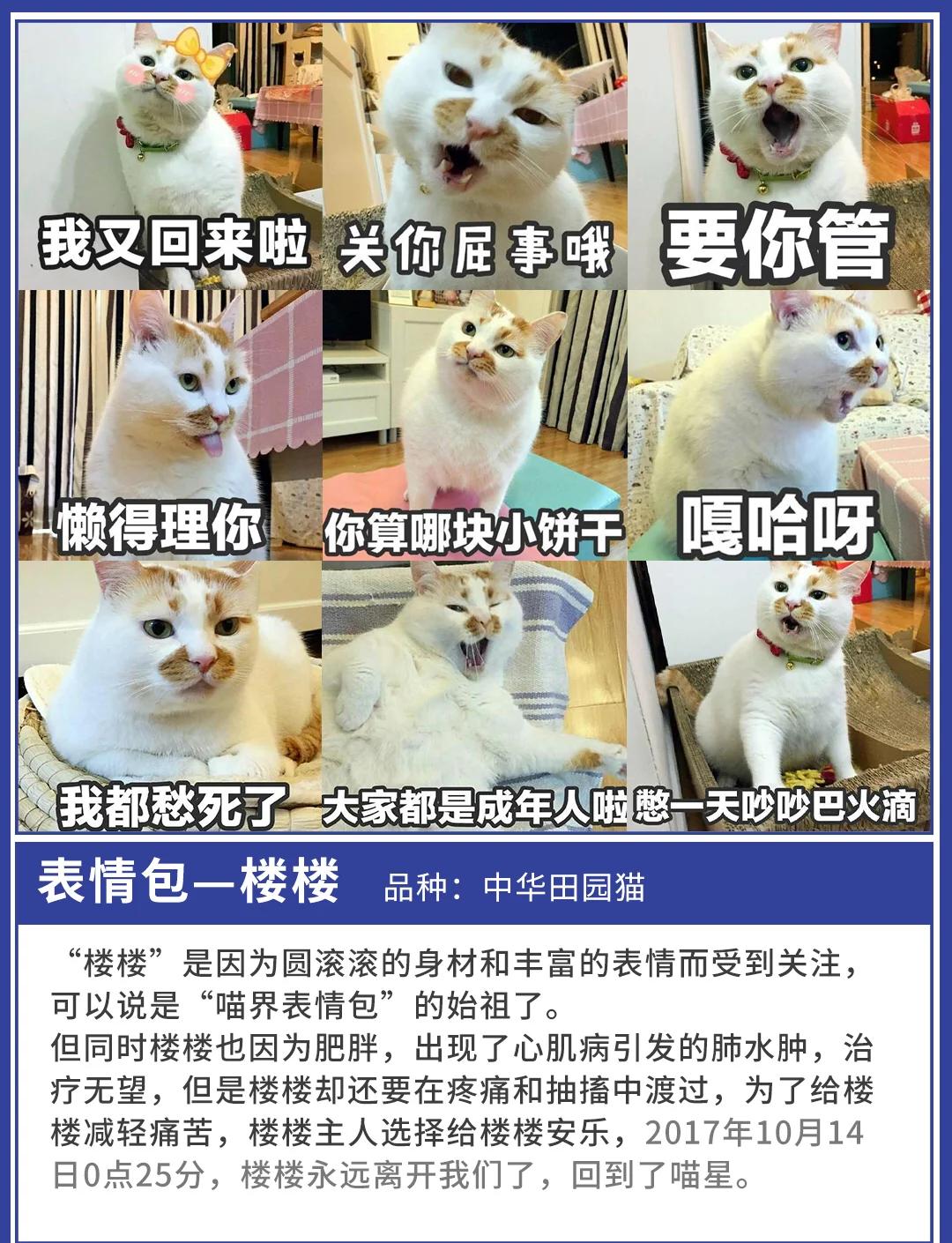 每日视频 每日视频涵盖各类知识