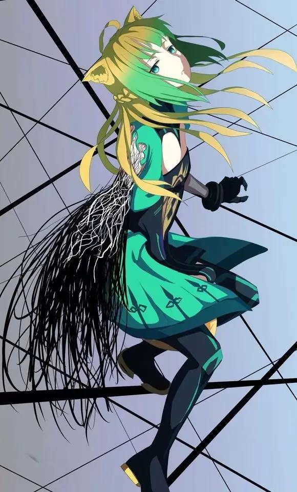 每日视频 每日视频涵盖各类知识