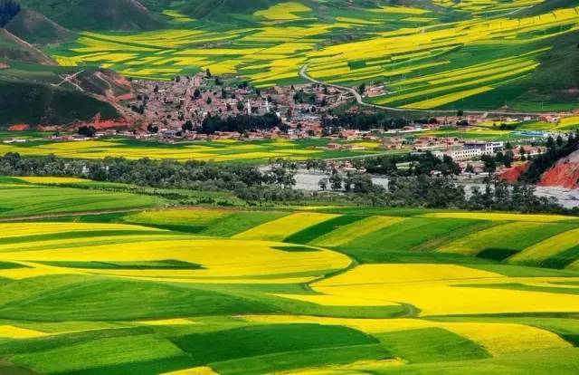 51吃瓜中心官网 官网内容聚合属性明显