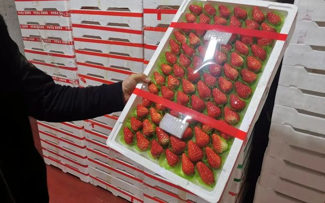 里番最新 合法且有益的番最新帮助