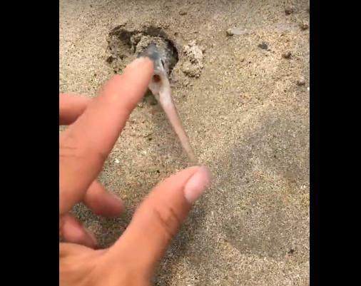 武汉康圣原启医学检验有限公司 招标