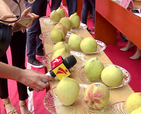 mn视频 视频由于信息比较简短