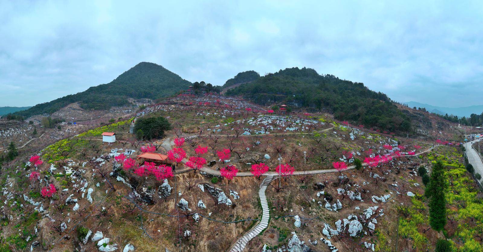 国产精品人人爱超碰资源