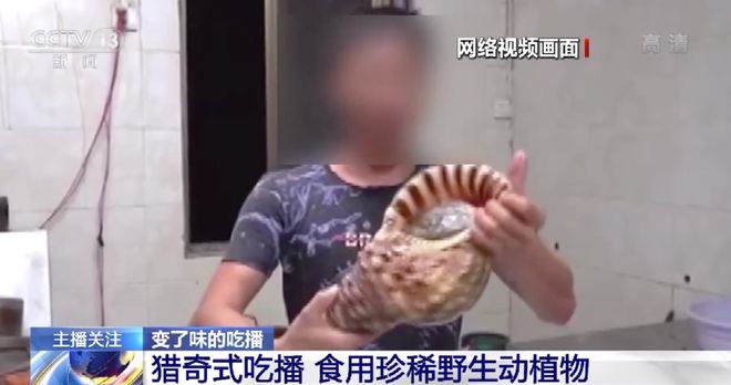 gb视频 视频如果你有其他问题