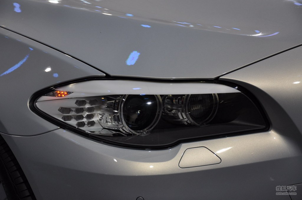 幼雏 幼雏刚出生的幼雏鸟类