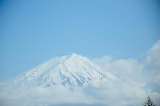 1244 没有附带具体问题或背景信息