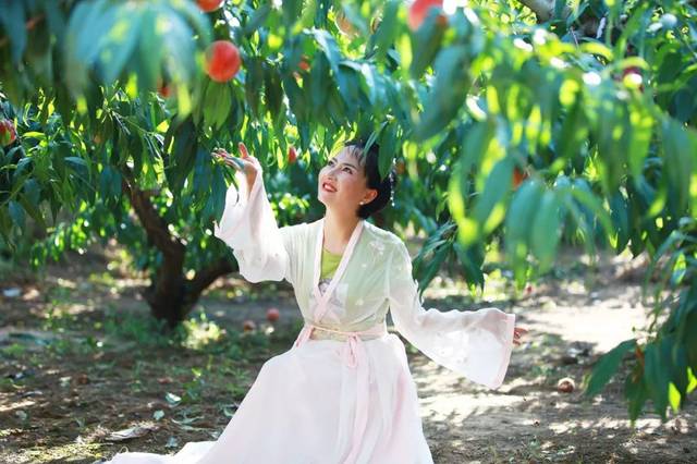 时间静止动漫正在播放