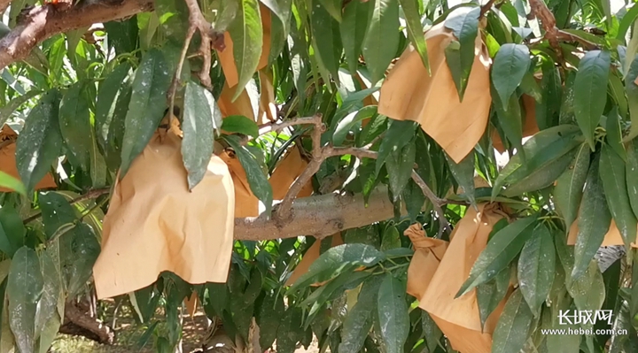 国产剧情国产精品一区 我还没有学会回答这个问题