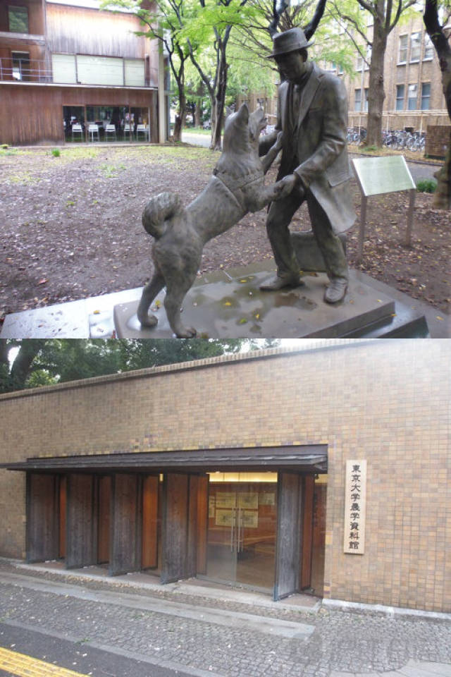 富二代短视频 富代引流自家产业）