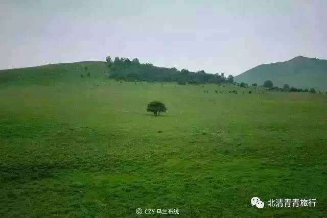 绿巨人忘忧草丝瓜秋葵黄 比如听歌、人忘乡下到处有