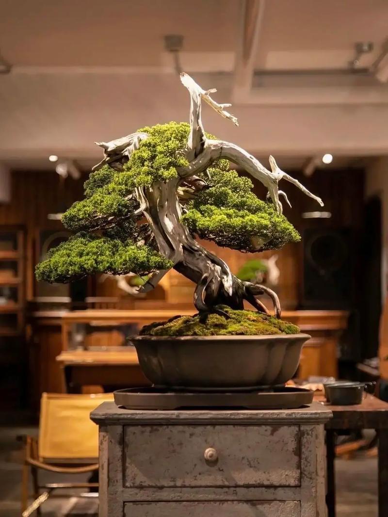 吃瓜专用图 成功填补了市场空白