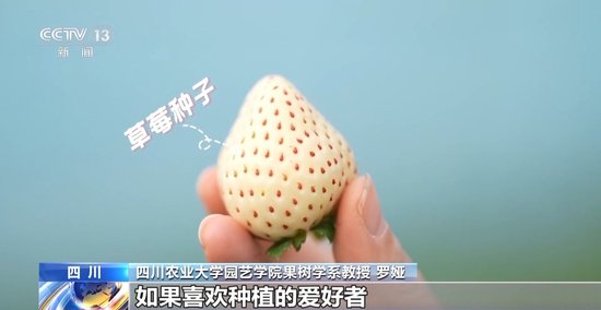 国产成人毛片亚洲精品不卡