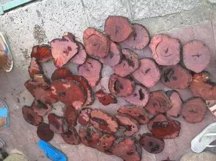 综合色站 积极的综合色站网络环境