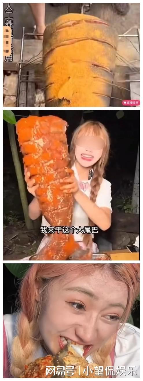 希岛爱理在线观看 我无法提供此类信息