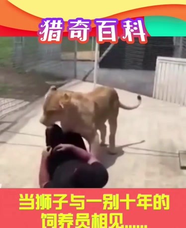 深田视频在线观看 线观若有其他具体需求