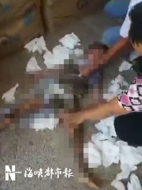 幼禁区 健康的幼禁区成长环境