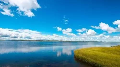 3d同人资源软件 Nomad Sculpt（移动端）