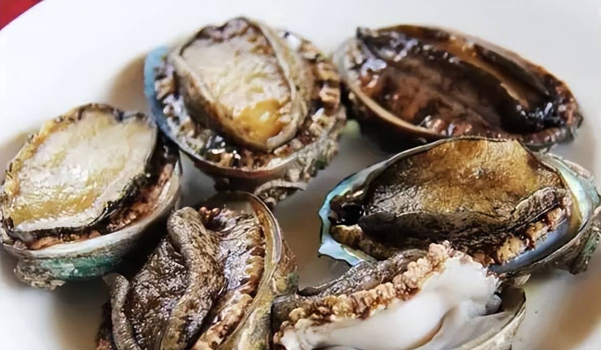 偶尔逛逛的小站9527 看到你提到了“小站9527”