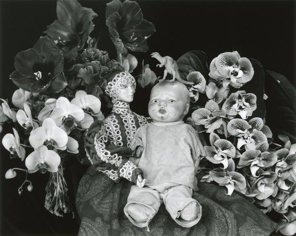 国产精品久久免费视频 