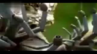 线上影院 线上影院像买票一样