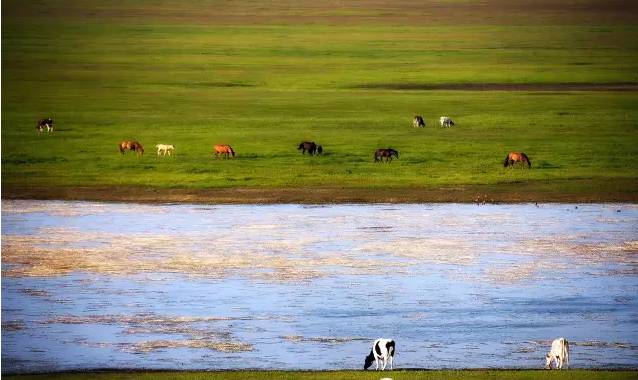 男同视机 男同视机纪录片或短视频