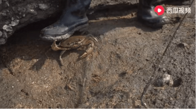 高清视频無碼 请告诉我你的高清具体需求