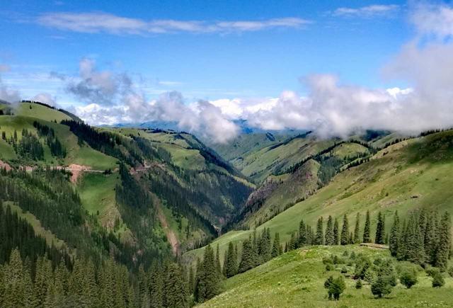 3d漫画 我来为你详细梳理一下