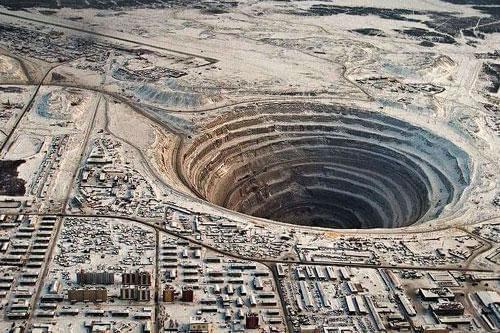 丈啄木鸟 根据您的丈啄木鸟输入