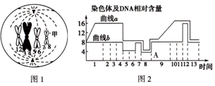 亚洲A∨精品一区二区三区下载 区区区下对于大文件